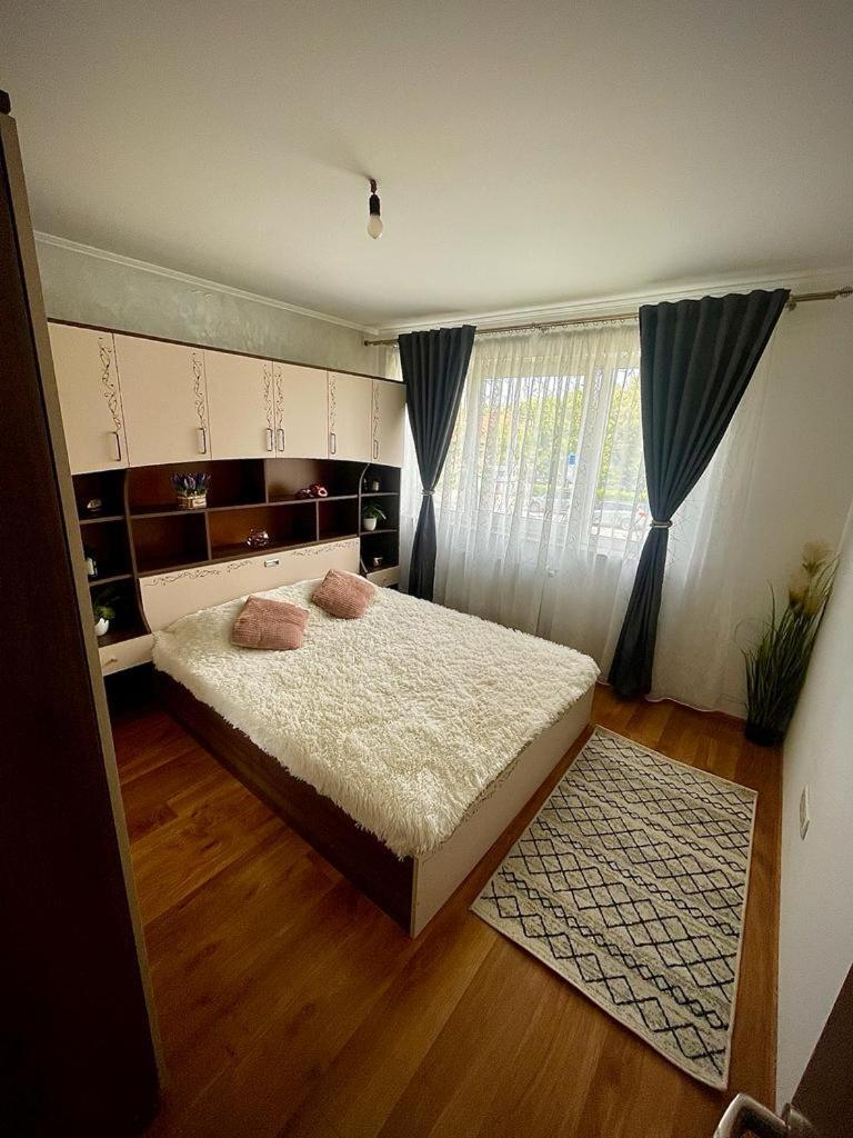 Diana 7 Lejlighed Cluj-Napoca Eksteriør billede